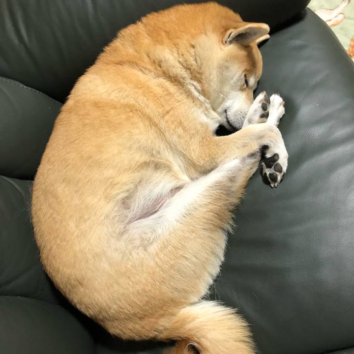 13c7381c 13b2 4ed9 8110 8bb2cd789cd5 1576140250452