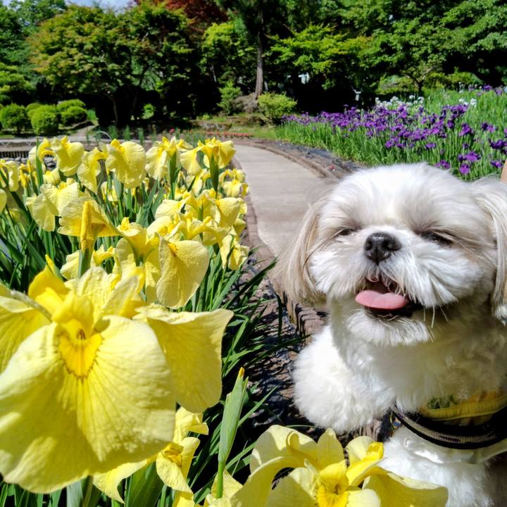 13c7385a 2b6f 41e0 8b86 0d14bf9ef3d8 1718147951614