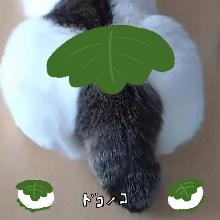 13c77825 ed68 45cb afa2 c40a3bac8395 1749114329556