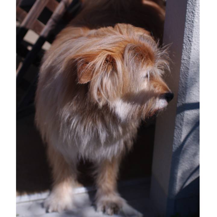 13c783af 835f 4e89 835c dec1fc689269 1588825968821