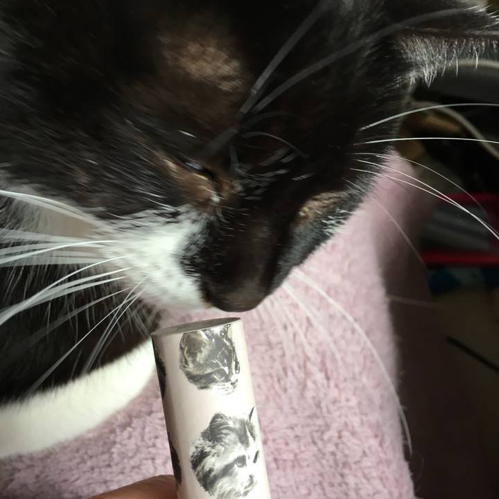 13c7961a 1e4c 48ba a622 3a8e6d5bf8b4 1516248526321