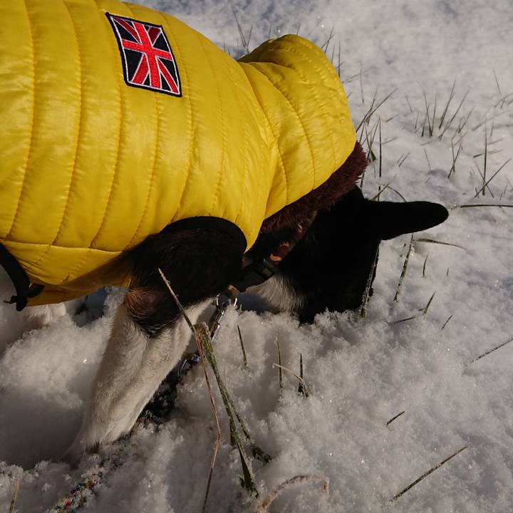 13c7b899 1fd2 4555 941a 0ef91ad5df78 1516936922328