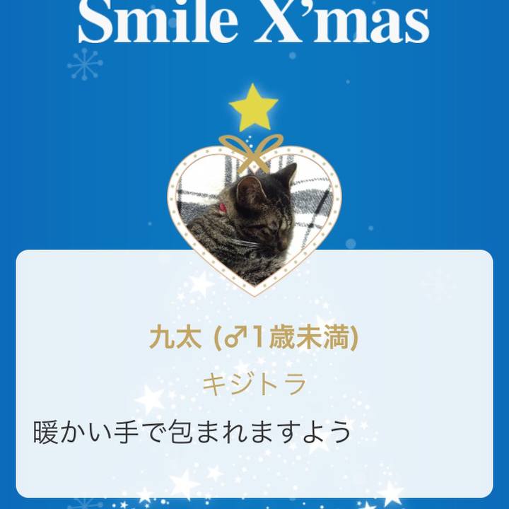 13c7c649 9a29 4179 8bfb d3c6f6da1360 1544699130434