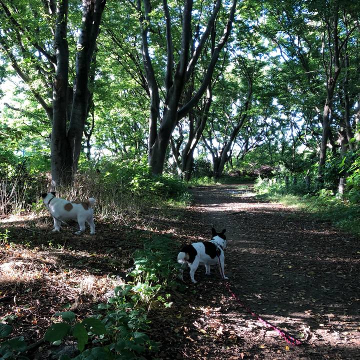 13c815e2 7049 42fb 9c11 fc036b81f2f5 1562402719063