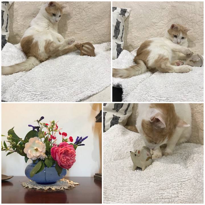 13c81e2f a3c9 4746 b464 734404ffe285 1577964686101