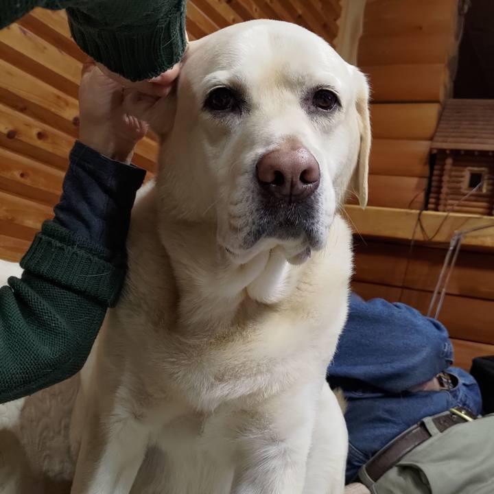 13c862a8 ccc2 4be9 972c bb060c8b4de3 1645269284438