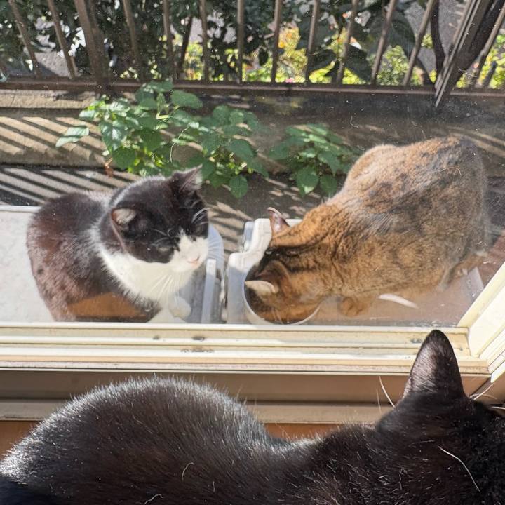 13c862b9 3bac 4b90 95ed 16a7daba6c79 1761957544498