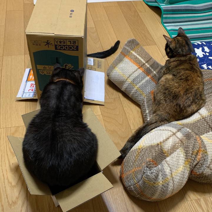 13c87830 93de 4277 9979 877ba6c969e1 1583592760810