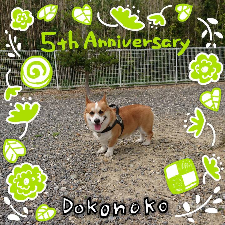 13c8abb3 cace 4ba3 a6c6 3c1956052d63 1622889927766