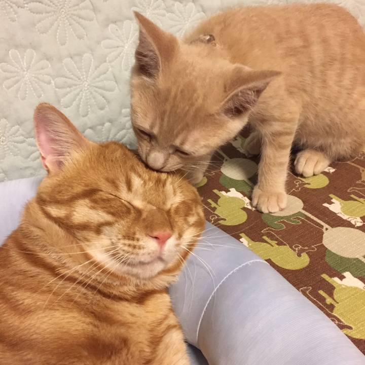 13c8cd49 ee2a 4acf 8073 d0f2fb0e769f 1533724351063