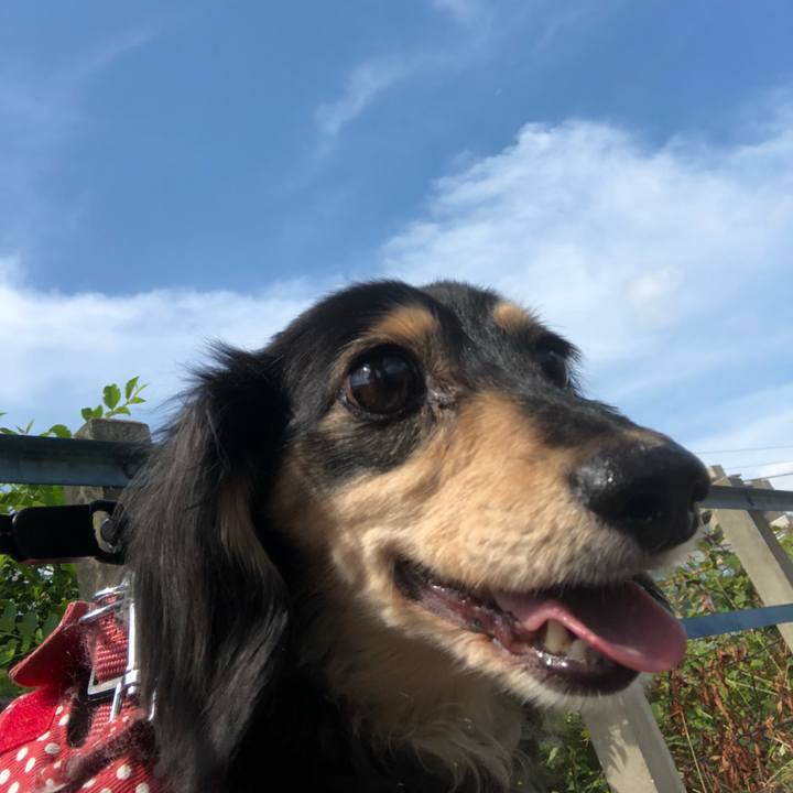 13c9c269 0308 4525 b2c7 0456c528e99d 1561508444899