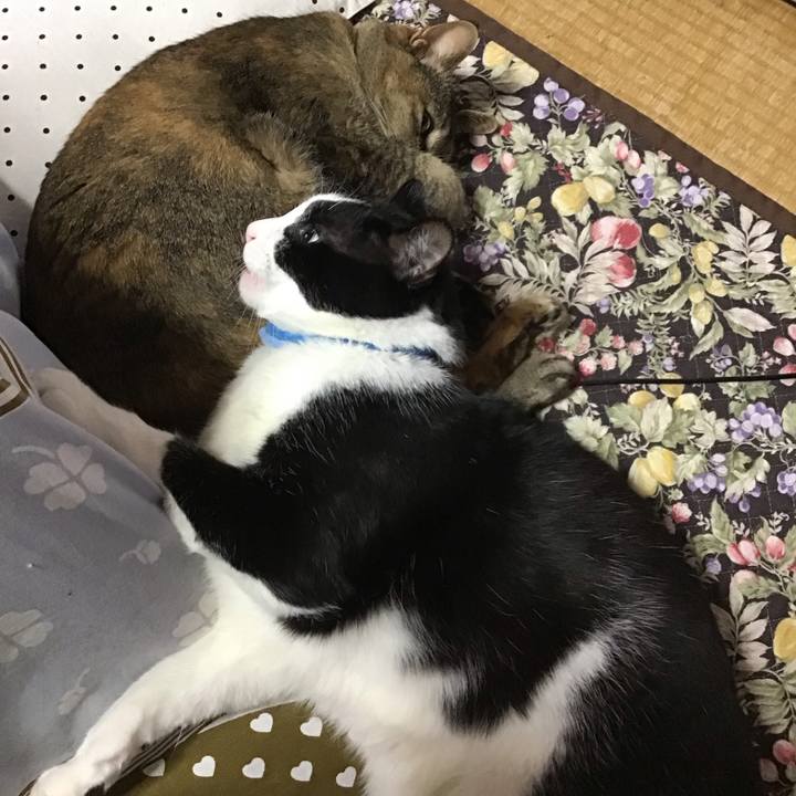 13c9f252 d182 4ec4 ac67 c3b7cd1b2ac9 1679137450563