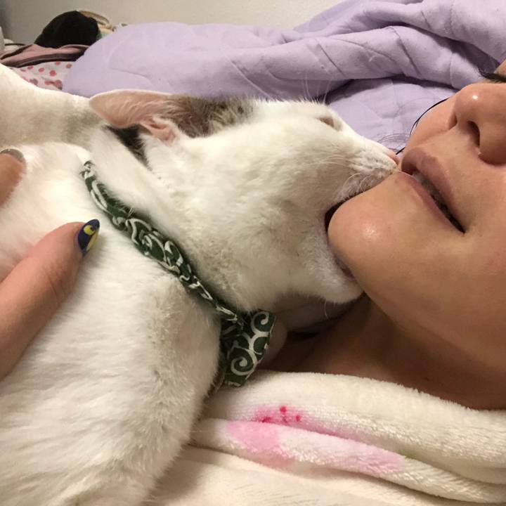 13c9f923 0407 4a6a a693 6d053da089cd 1542579269514