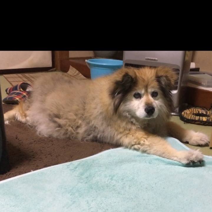 13ca1446 49fe 4c6e bfc9 f6930441437d 1575075859113