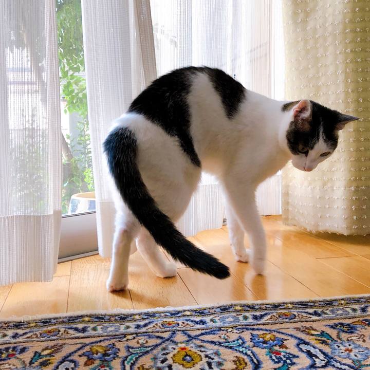 13ca14bd 55e9 4510 8899 2a4226d13b2a 1624266038131