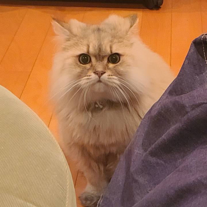 13ca5393 b587 44c3 ae64 fb251136684a 1670298353025