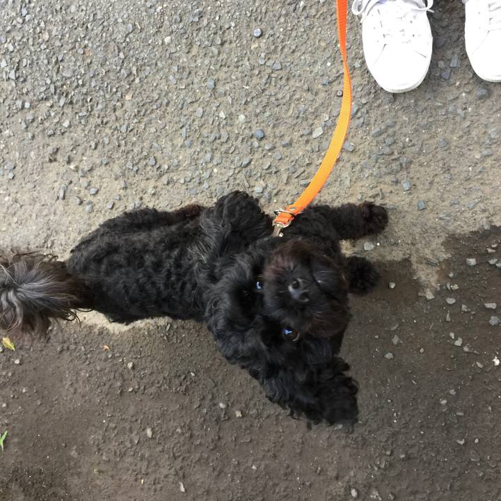 13ca6edf 2524 4efe 91a7 c6fb46c4d90e 1528434130087