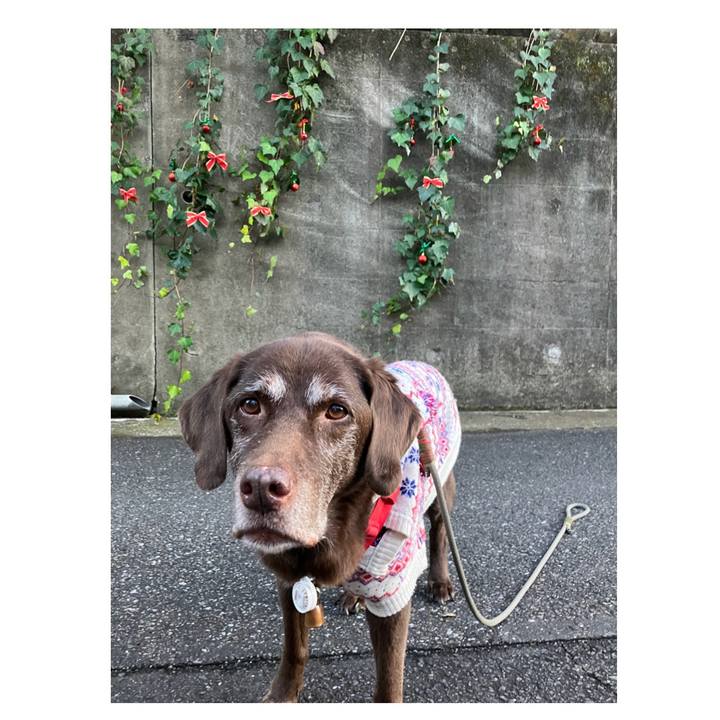 13cad3cc 7d63 4d23 bebd 53b8486b5ba7 1765798364782