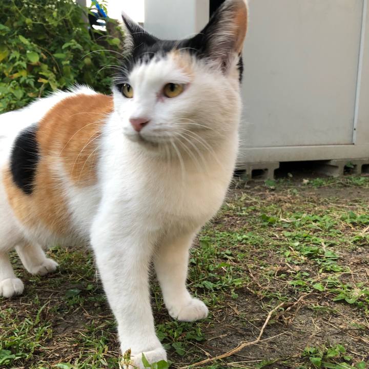 13cad9ba 1350 4bc4 8520 0035d7398d62 1603664626756