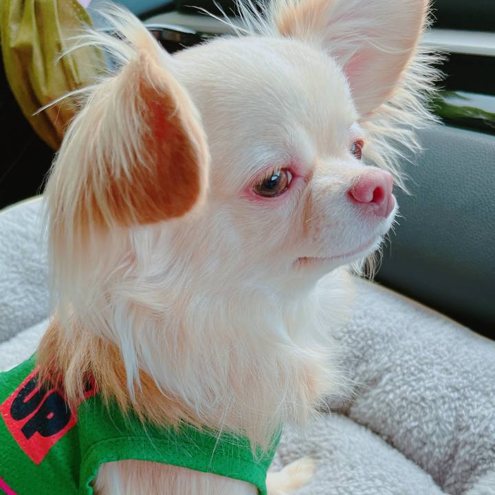 13cb31b2 fe5f 4d23 b431 20b9755b6ff9 1653744120220