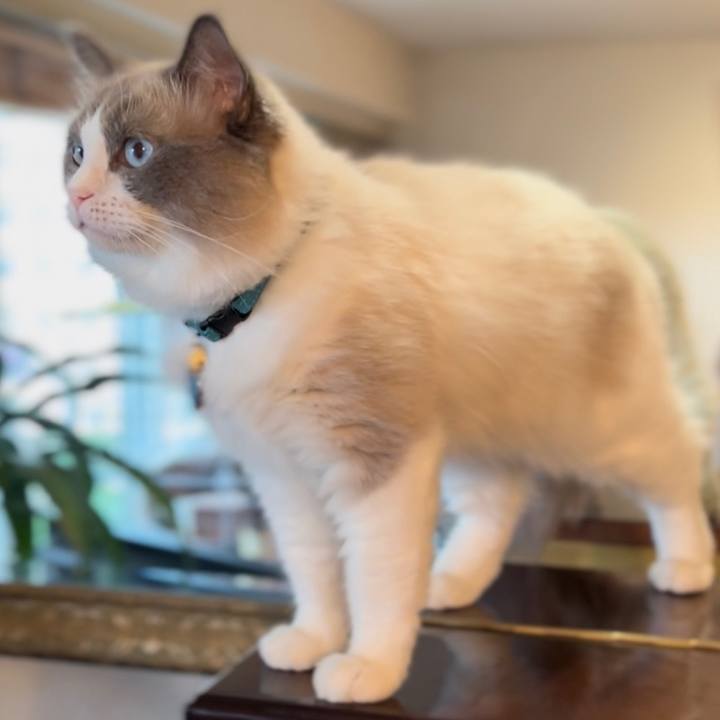 13cb616e f649 446f a34e 72a9a4d0a972 1652683386540