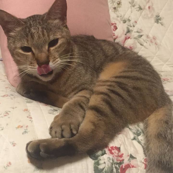 13cb70fd 9a21 4c0b a2dd ea5f6e13ee42 1559734035524