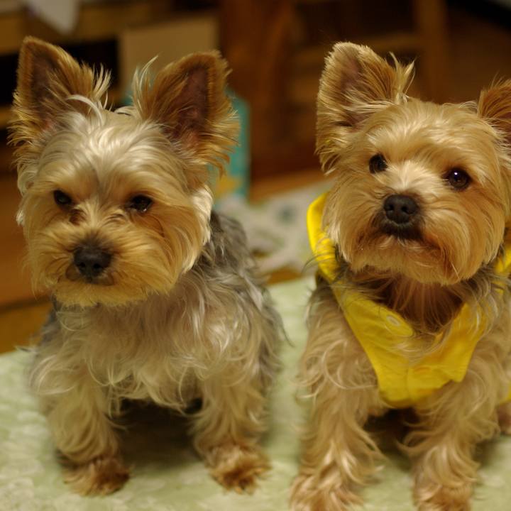 13cbfb93 33e5 4893 a700 aaccd222d908 1739357915453