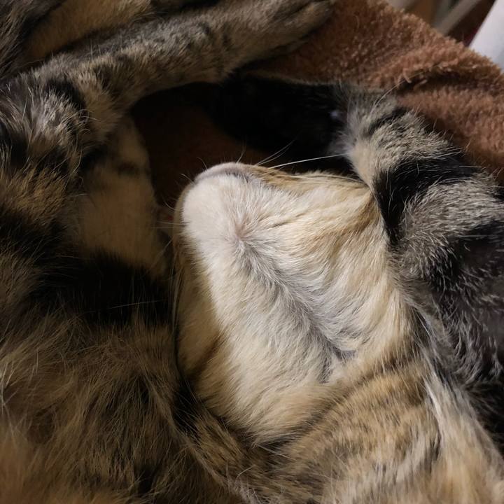 13cc1d86 f242 452e 8cc7 3585c114eb39 1557716658640