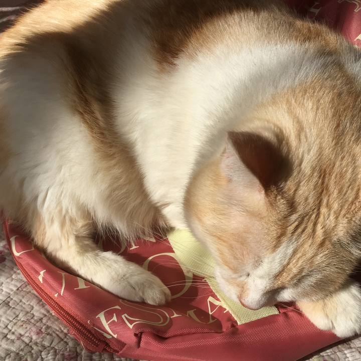 13cc360b 610b 4f21 96c7 9c6805238f14 1515297770231