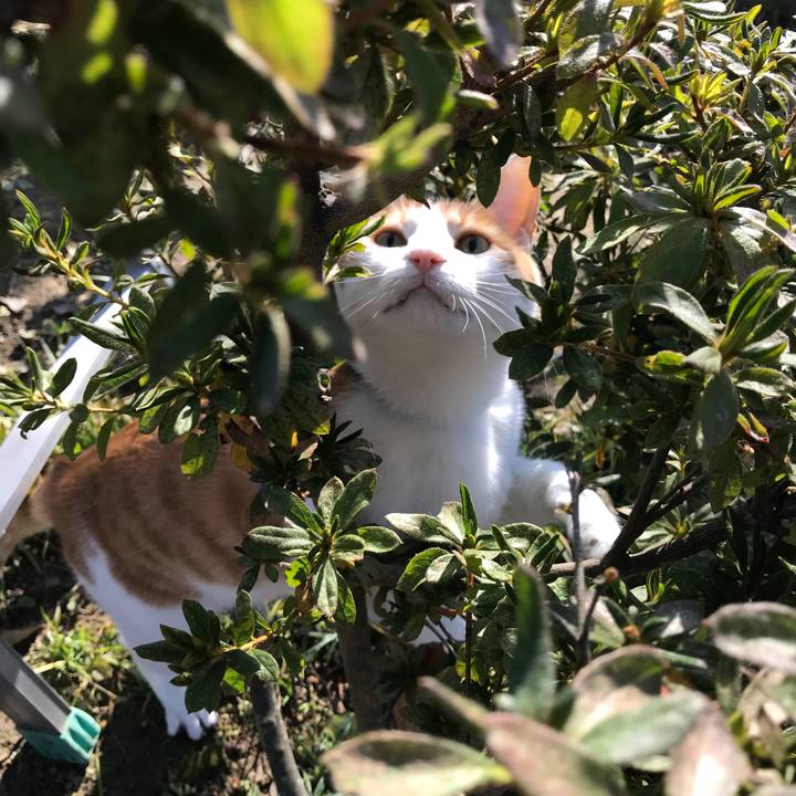 13cc73b8 963d 40e9 826d 7a35e02f8536 1510273656428