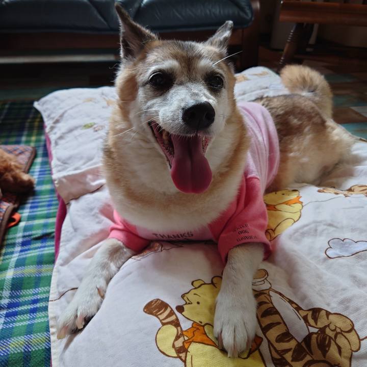 13cc7e4b 2a67 436a 9df0 1acbe5924436 1694859800174