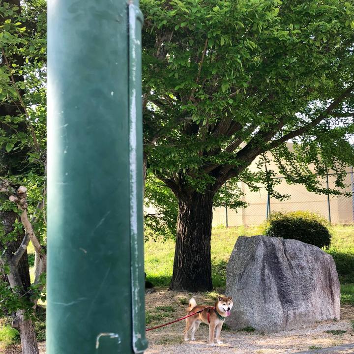 13cca55f 5784 4165 a346 7811ad996079 1532516226043