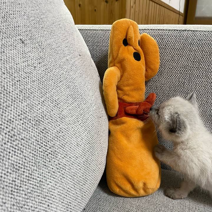 13ccb6b3 be42 4576 8449 c1ffaafb0008 1684673688065