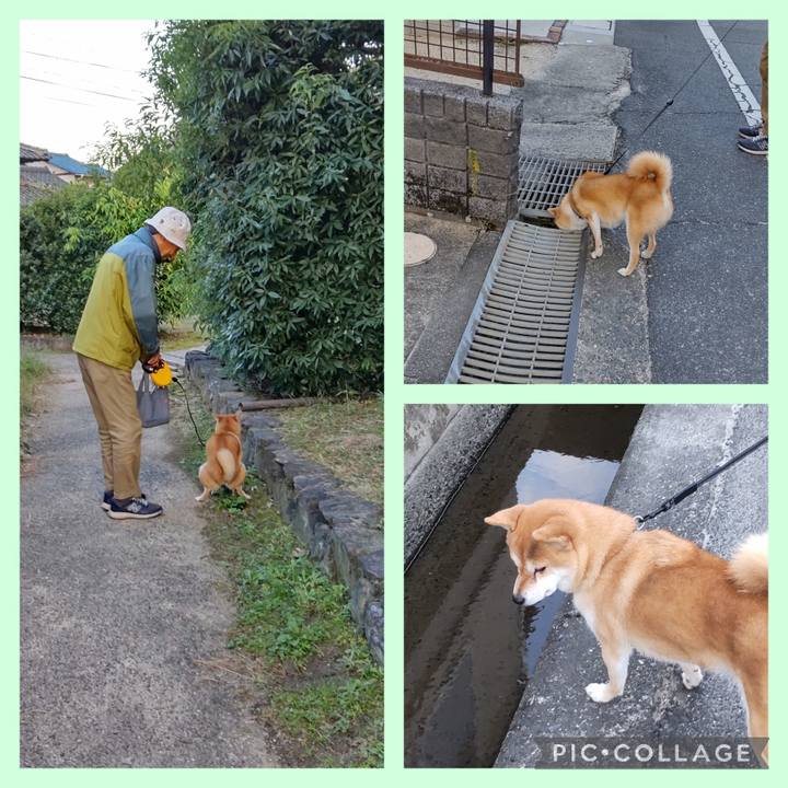 13cd0ce8 f4b4 4069 9f9a 9c368c320379 1730966683576