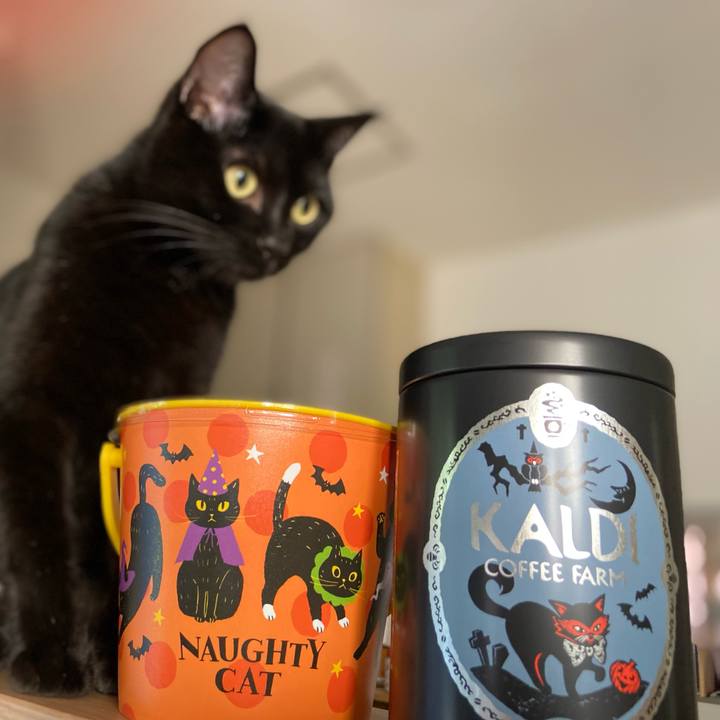 13cd0f85 64c3 4fb9 aaa8 2f8e4813fb15 1632031497168