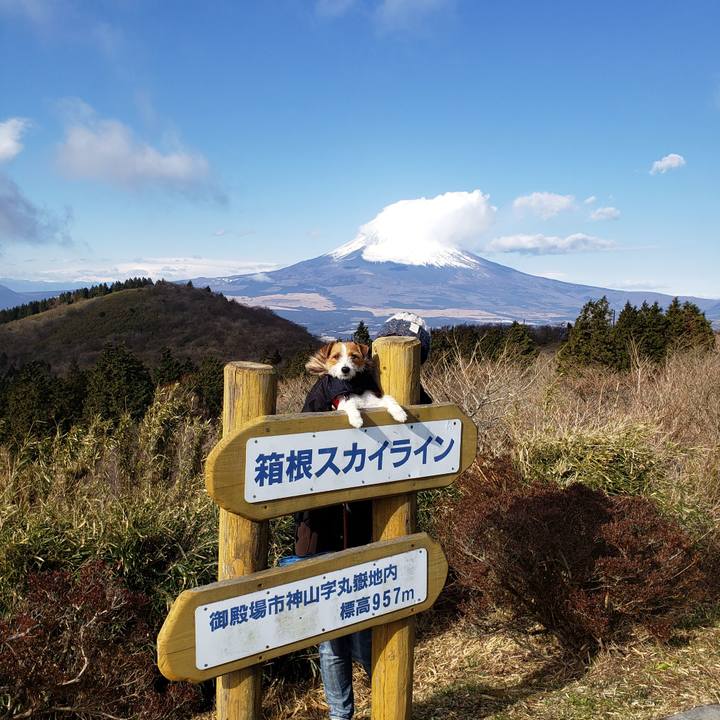 13cd10c5 c01f 41bb bcd8 3294bc3d42b3 1546662668731