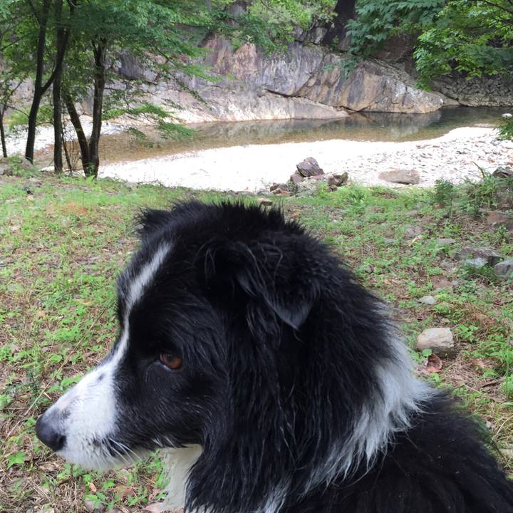 13cd287d 7d44 4064 b8df fd819ed6786c 1534749849701