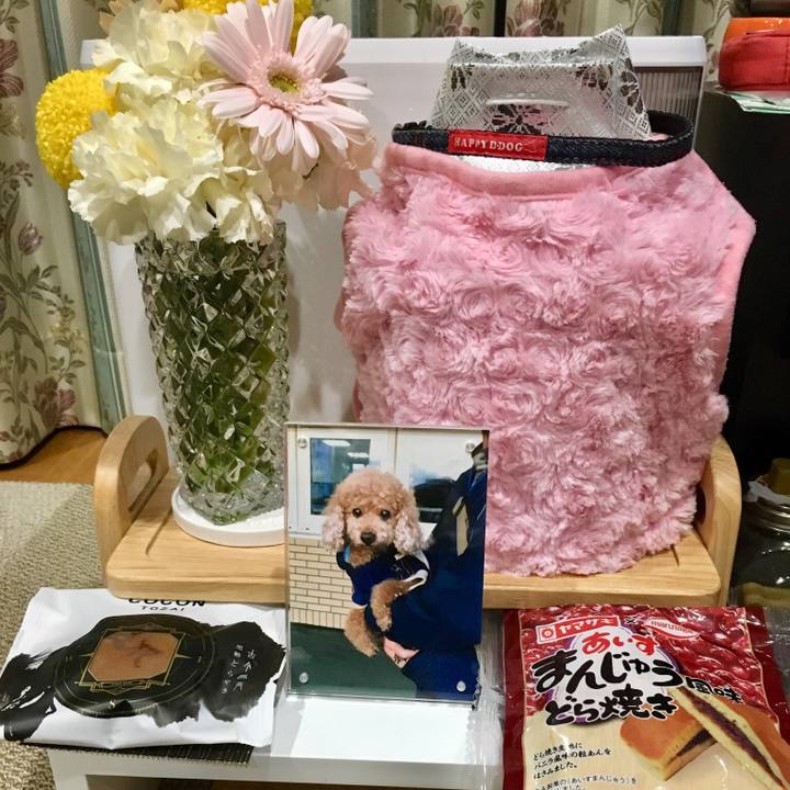 13cd2a2e e405 46d2 90bf c525e350dd8a 1543760361514