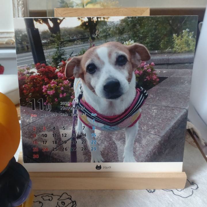 13cd43cc ca44 432b ac64 0f752dc5c610 1764201769162