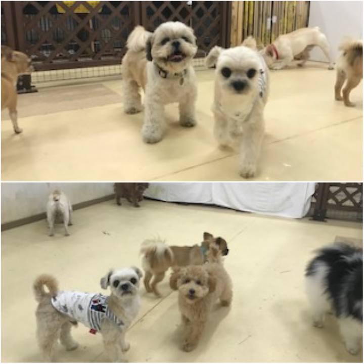 13cd84cb bd3e 49c7 89ee 5e1bd8275ac2 1560853296112