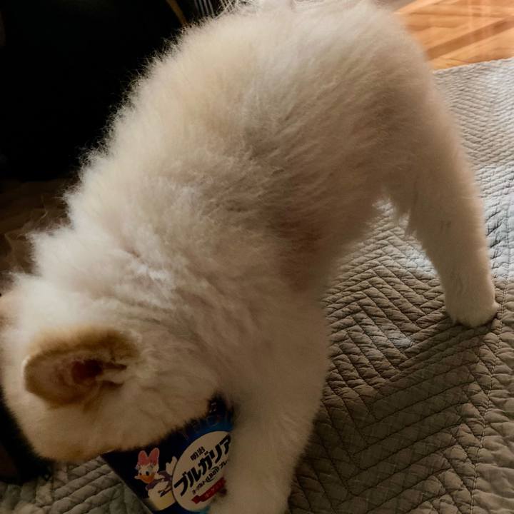 13cd995e 486d 4c09 82cf 26665c357dd5 1758454533315