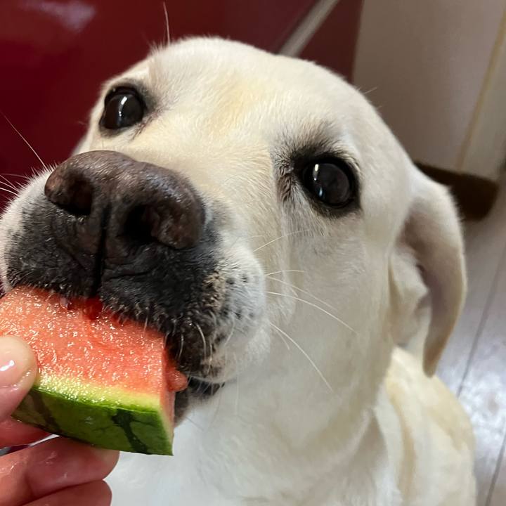 13cd9f7a 44d4 43c9 8efe 7d8875e1e47f 1661216156579