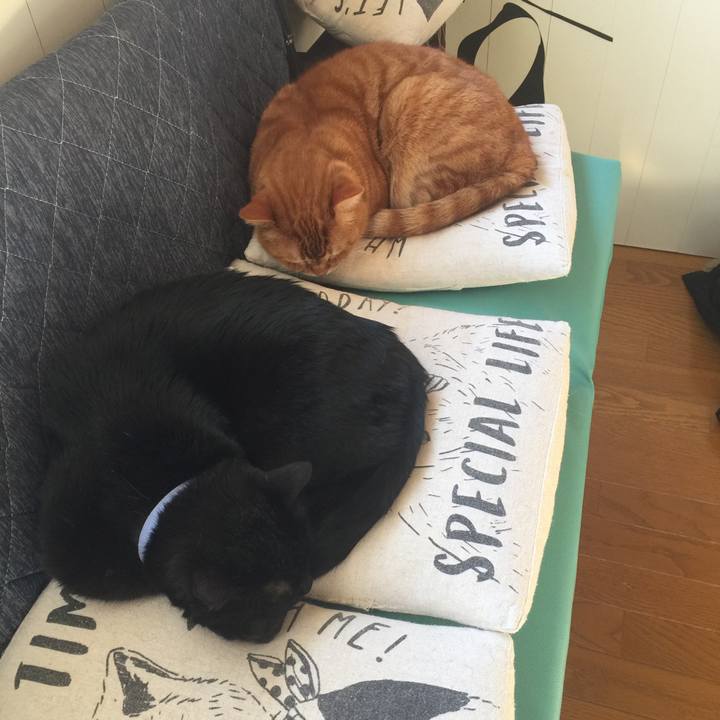 13cddacb f166 4820 a089 4c00ed8558e8 1548128026732