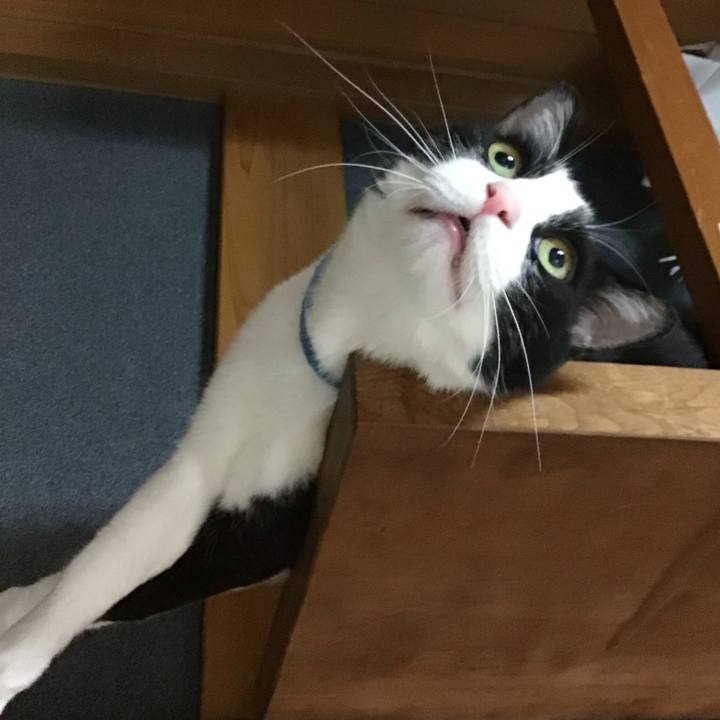 13ce255c dc2b 4c8b 9bc3 f4e65088b3e8 1684328019360