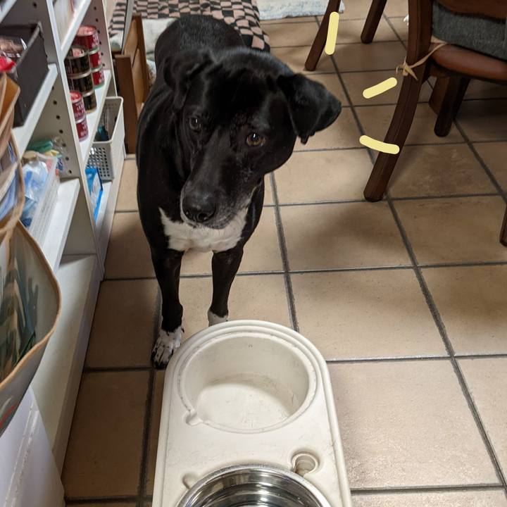 13ce3868 f0d2 4573 8514 cbab8eae3202 1706785248464