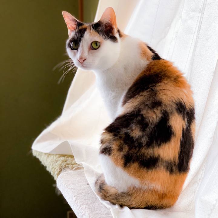 13ce9419 e088 4d6d a51c 0754a69ebe7b 1563758830108