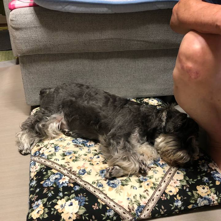 13ceb9a9 b6ed 4698 8ef6 ffa706c3320e 1630064440326