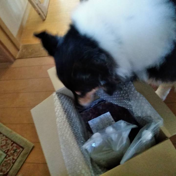 13cec471 222b 4e13 9963 afcc80621523 1535726230909