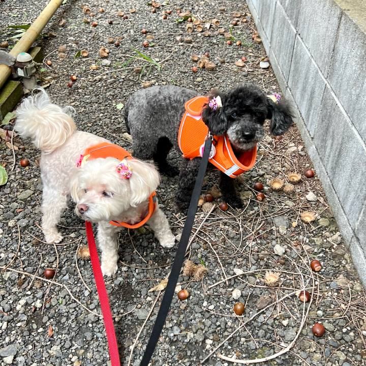 13cec52a d999 4ac1 b874 6639fc3789af 1759539218480