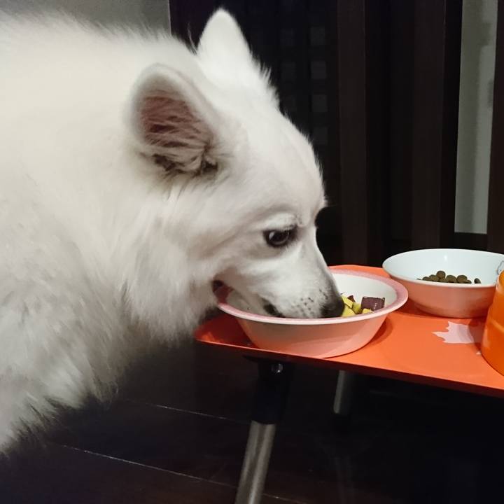 13cec83a 2a44 456e 94dd 48719d2ea172 1541408135082